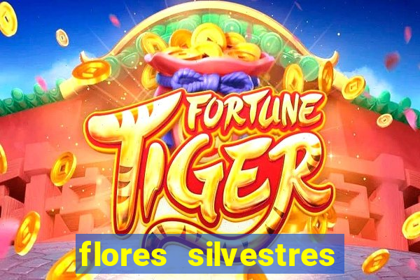 flores silvestres desbravadores desbravadores 25